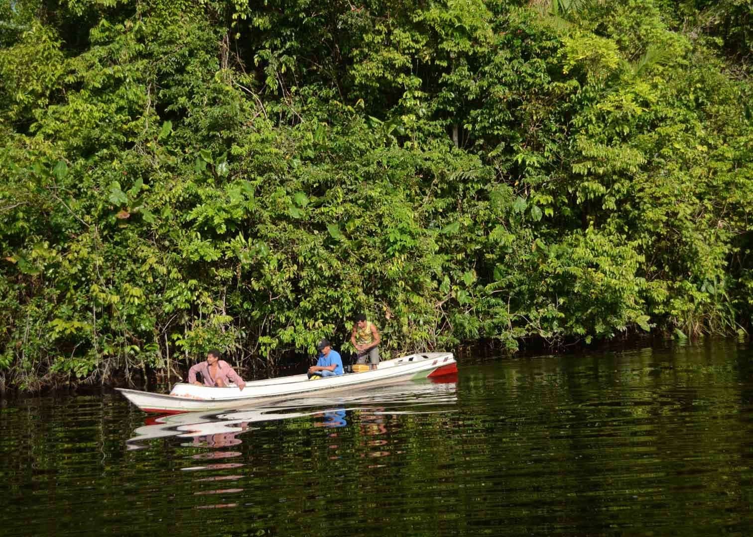 Featured image for “Emaf diventa partner per la protezione del clima di GLS: con le spedizioni proteggiamo una foresta in Brasile”